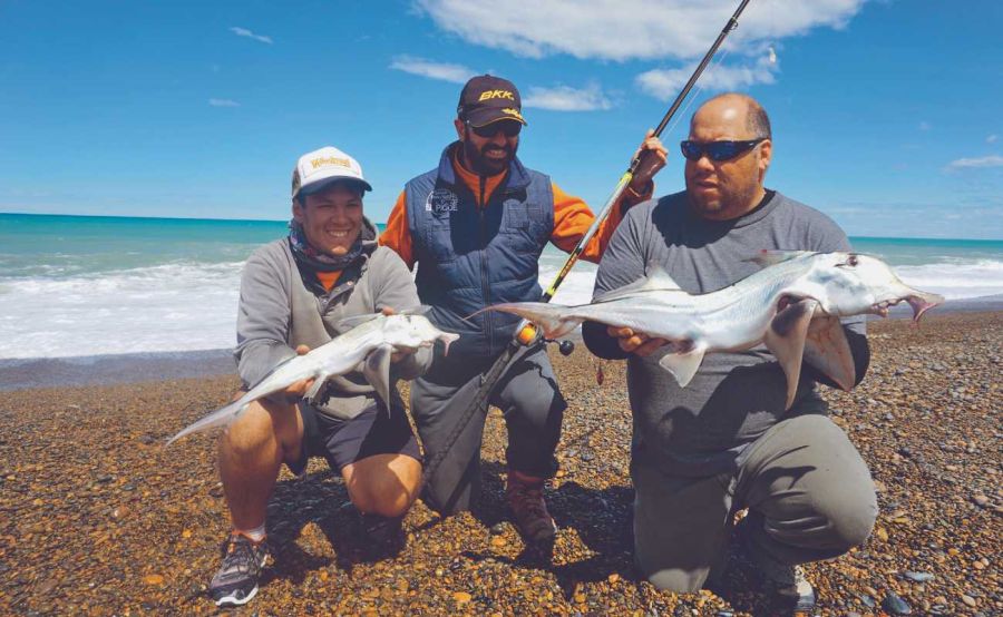 2801_tiburones_rocas_coloradas