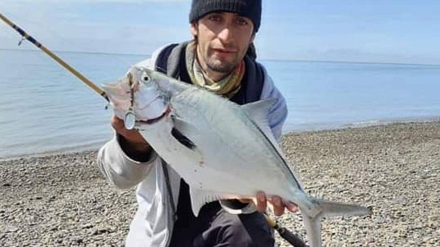 1410_palometa