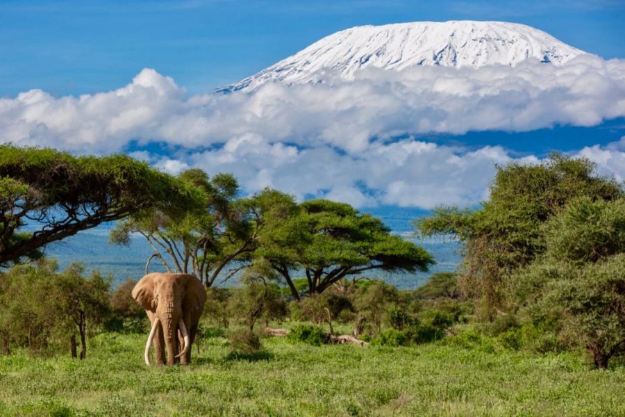 0222_kenia2