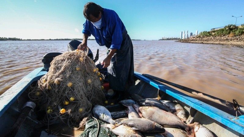 0604_pesca