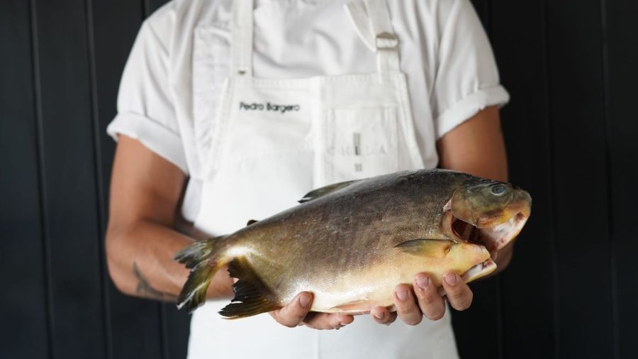 pescado