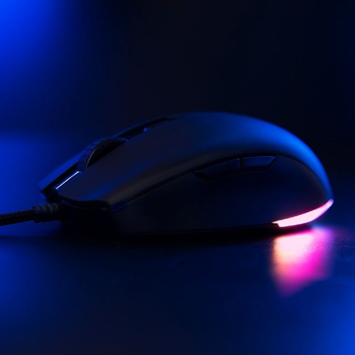 Mouse