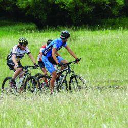 Bicicletas Guichon