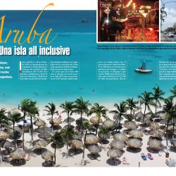 WEE-0536-041-ARUBA-V2