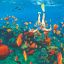 0902_cruceros20