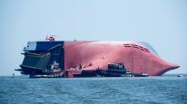 Barco Golden Ray Hyundai Kia
