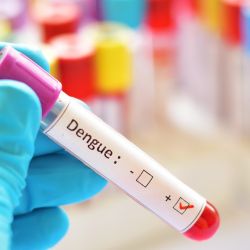 No existen vacunas que prevengan el dengue ni medicamentos que lo curen.