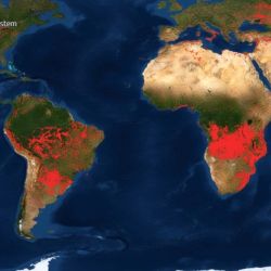El Fire Information for Resource Management System de la NASA es un sistema que permite seguir en tiempo real todos los incendios que se registran en el mundo.