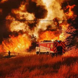 Según datos oficiales, en Córodba ya se vieron afectadas más de 30.000 hectáreas. 