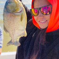 Increíble pesca