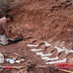 Según los especialistas, sería la criatura más grande que habitó la Tierra.se 