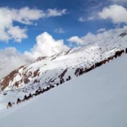 Para el rescate exitoso del grupo, los efectivos trabajaron hasta altas horas de la noche para despejar las rutas de acceso al lugar. 
