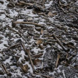 En 1492, un explorador indio descubrió los restos de  cientos de individuos en el lago Roopkund. 