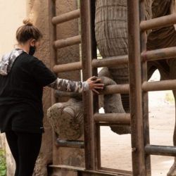 Pocha y su hija, Guillermina, viven hace más de 20 años en el Ecoparque de Mendoza.