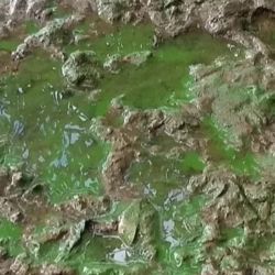 Varias lagunas bonaerenses están siendo afectadas por la presencia de cianobacterias.