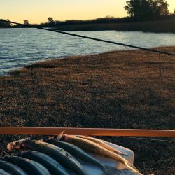 La sequia no dejó muchas alternativas de pesca costera en las lagunas, pero aún así, hay muchas alternativas en territorio bonaerense.