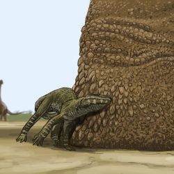 Los expertos lograron determinar que las huellas corresponden a dinosaurios saurópodos.