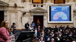 diputados