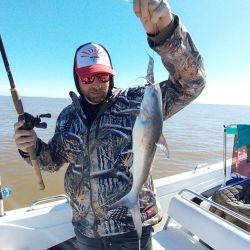 La pesca de la especie se practica en los pozones con más profundidad entre ocho y diez metros, siendo fundamental que haya correntada para tener buenas respuestas. 