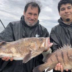 0311_mapa_pique_pesca