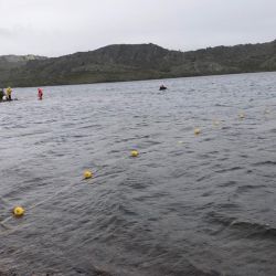En este ambiente se vienen realizando siembras desde el año 2018, existiendo un seguimiento del crecimiento de los salmónidos.