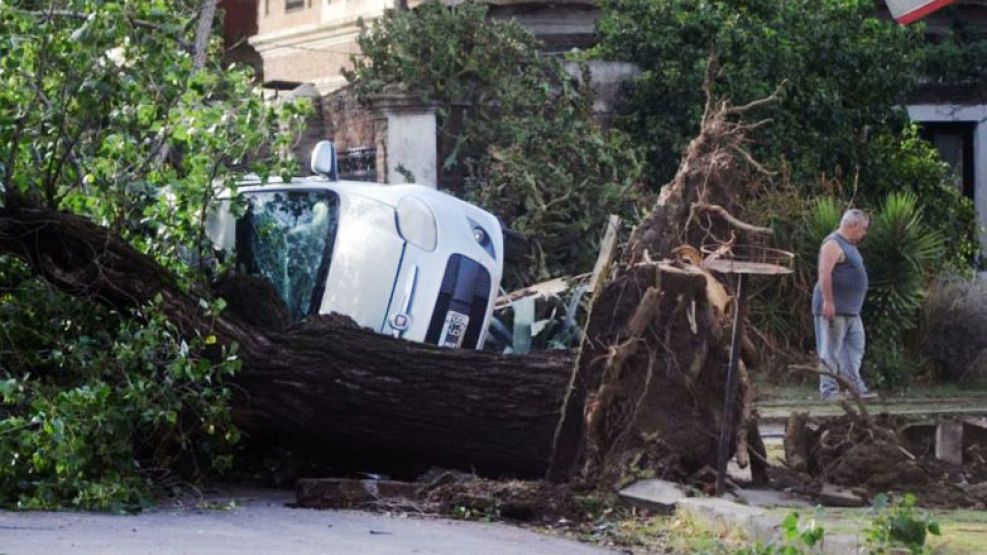 Arboles y postes de luz caídos, autos y casas dañados, postal del fin de semana en miles de lugares.