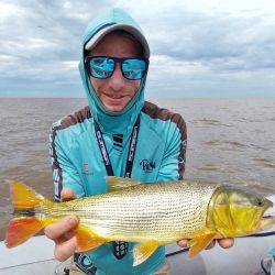 Dorados en cantidad y cerca de CABA, una opción para aprovechar y que no se da siempre. 