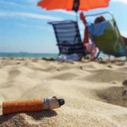 Consejos de Ecos de Pinamar, destino que prioriza y actúa en el cuidado del medio ambiente.
