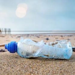 Consejos de Ecos de Pinamar, destino que prioriza y actúa en el cuidado del medio ambiente.