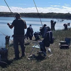 El pescado, en tierra firme fue pesado, acusando en la balanza los 2,295 kg, todo un récord en las lagunas de Villa Mercedes.