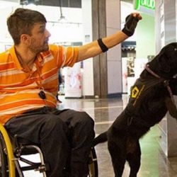 El objetivo es que las personas con discapacidad tengan una vida social más autónoma