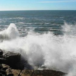 La pesca de arrastre internacional está devastando el lecho marino del Agujero Azul,