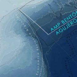 La pesca de arrastre internacional está devastando el lecho marino del Agujero Azul