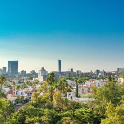 Los árboles son vitales para el control de las temperaturas.