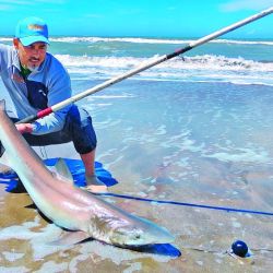 Ya llegaron a la costa los tiburones más grandes y una importante variada. Ademàs turismo, escapadas, nàutica y aventura en Weeken de diciembre.
