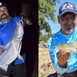El pesquero brinda un pique excelente, con una muy buena variedad de especies como manduvas, dorados, paties, cachorros, bagres blancos, amarillos y palometas. 