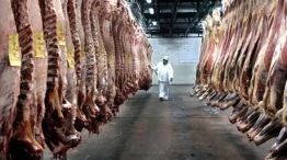 Carne vacuna