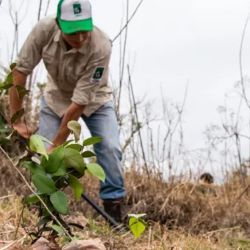 Buscan fortalecer la conectividad de la selva misionera.