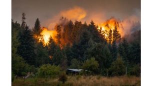 Incendios febrero 2025