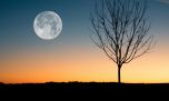 Microluna de flores: la Luna llena que se verá el 12 de mayo