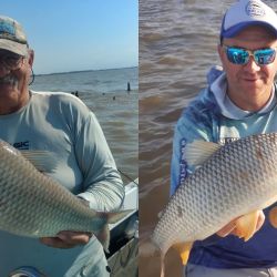 Los aparejos se depositan encarnados con masa entre los palos y piedras, y allí están las bogas que vienen a comer el mejillón asiático, molusco que abunda en este sitio.