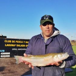 La Salada Grande de Madariaga sigue siendo en lo que va de la temporada la laguna élite de la provincia de Buenos Aires.