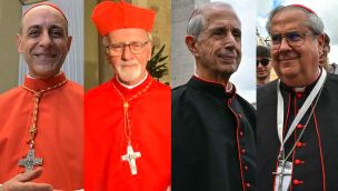 Cardenales Argentinos20250506