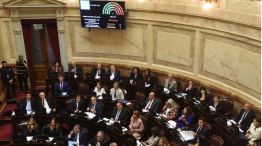 Sesion de ficha limpia en el senado20250507
