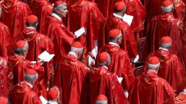 Cardenales