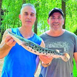 El combo otoñal de especies nos lleva de los patíes y armados que nunca faltan, a las últimas bogas de la temporada.
